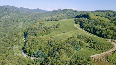 Similar image 21231536