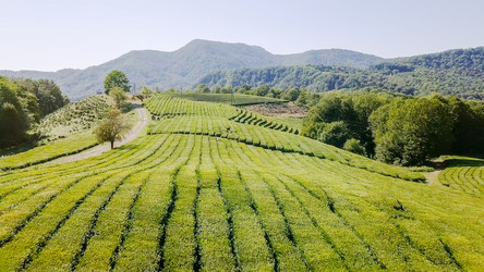 Similar image 21231537