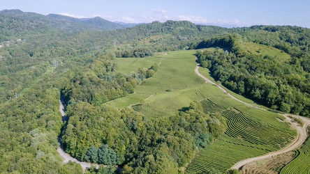 Similar image 21231539