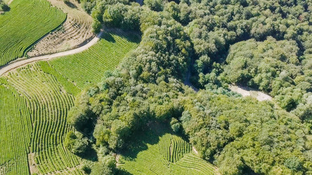 Similar image 21231540