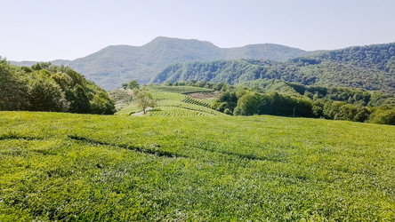 Similar image 21231541