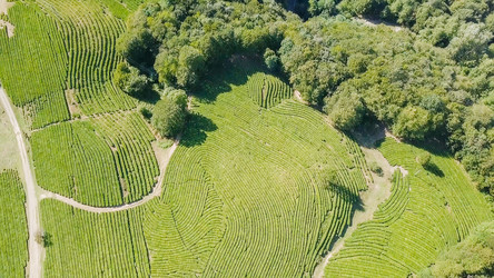 Similar image 21231543