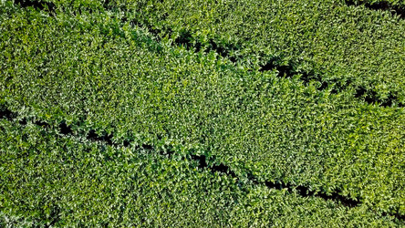 Similar image 21231544