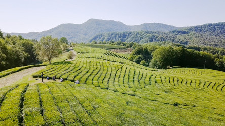 Similar image 21231667