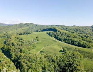 Similar image 21231668