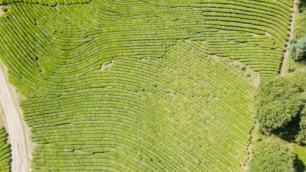 Similar image 21231672