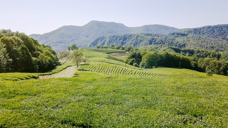 Similar image 21231707