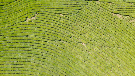 Similar image 21231709