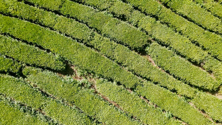 Similar image 21231710