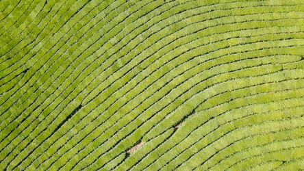 Similar image 21231829