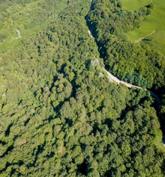 Similar image 21231830