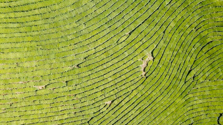 Similar image 21231833