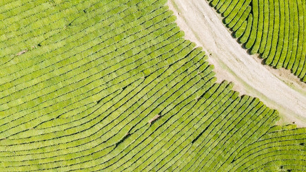 Similar image 21231835