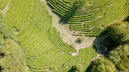 Similar image 21231836