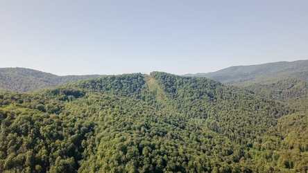 Similar image 21231837