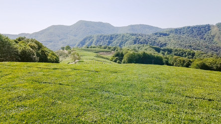 Similar image 21231838