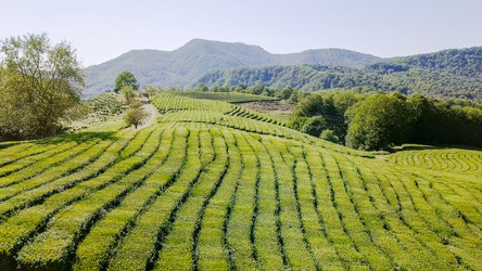 Similar image 21231839