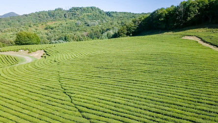 Similar image 21231841