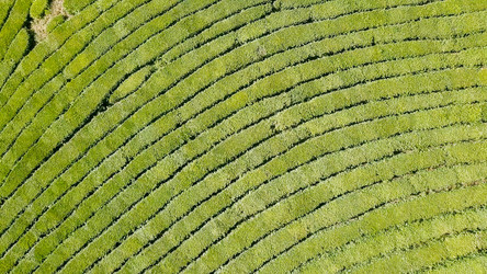 Similar image 21231842