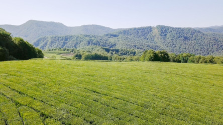 Similar image 21231843