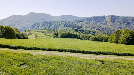 Similar image 21231844