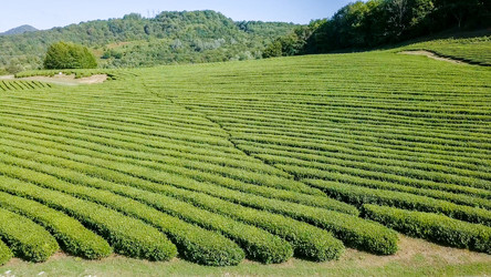 Similar image 21231846