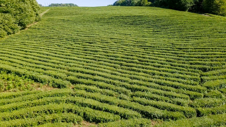 Similar image 21231847