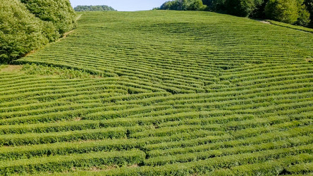 Similar image 21231848