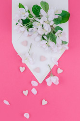 Similar image 21230323