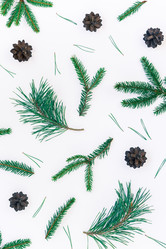 Similar image 21230340