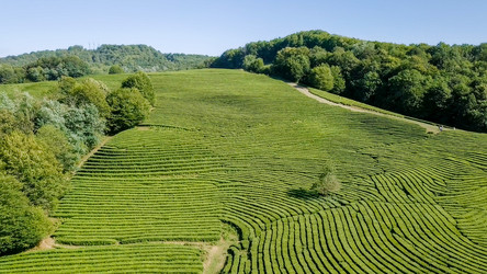 Similar image 21221259