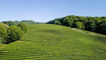 Similar image 21221260