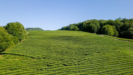 Similar image 21231232