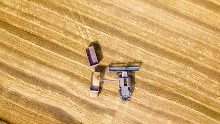 Similar image 21231323