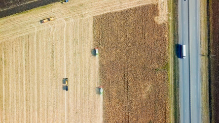 Similar image 21231328