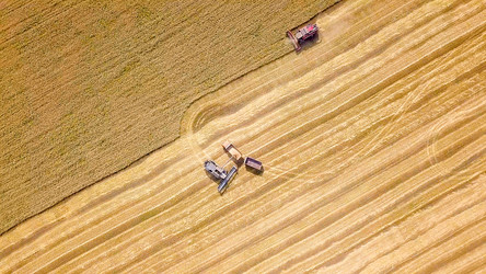 Similar image 21231335