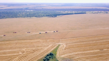 Similar image 21231342