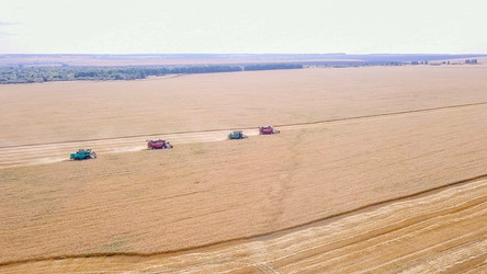 Similar image 21231344