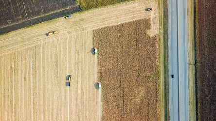 Similar image 21231347