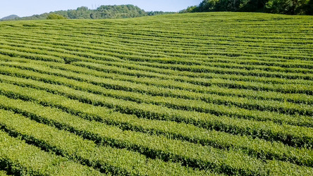 Similar image 21231351