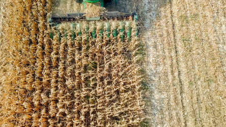 Similar image 21231353