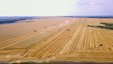 Similar image 21231354