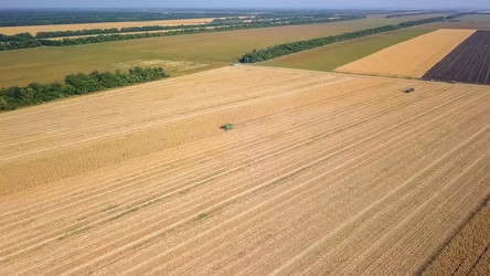 Similar image 21231546