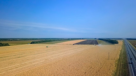 Similar image 21231549