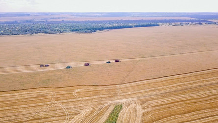 Similar image 21231552