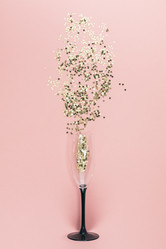 Similar image 21230907