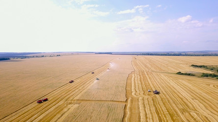 Similar image 21232048