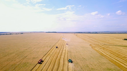 Similar image 21232058