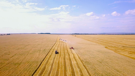 Similar image 21232060