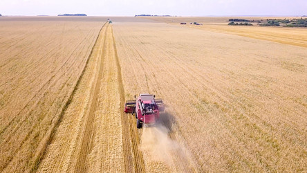 Similar image 21232067